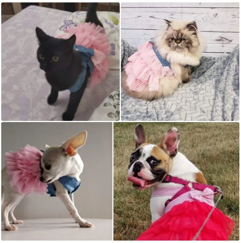 Pet Dog Puppy Tutu Bow Skirt Dress Cat Dog Princess Costume Chihuahua Apparel Cute Summer Clothes for Girl Dogs Female Clothing