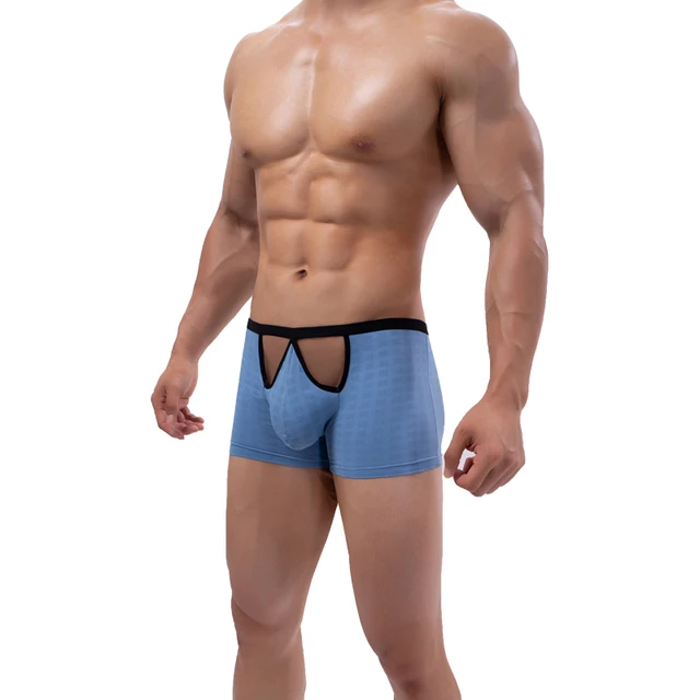 Mens Mesh Boxer Shorts Low Waist Hollow Out Penis Pouch Bereathable  Undewear Cuecas Underpants Slip Sheer Panties Boxershorts - Boxers -  AliExpress