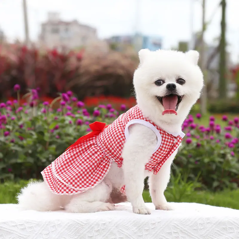 Sweet Princess Dress For Cute Dogs