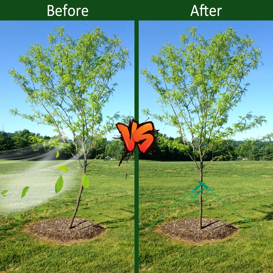Kit Professionale Per Sostenere 2 Alberi - 6 Cinghie Regolabili Da 40 Cm + Corda Resistente Da 18 M, Per Piante Sane E Dritte, Nero