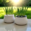 26319-87347b.jpg 3D Printed Hydroponic Kit, Soil-Free Indoor Planter Pot