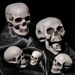 Human Skull Head Skeleton Halloween Photo Prop and Home Decor (9x10x13.5cm)