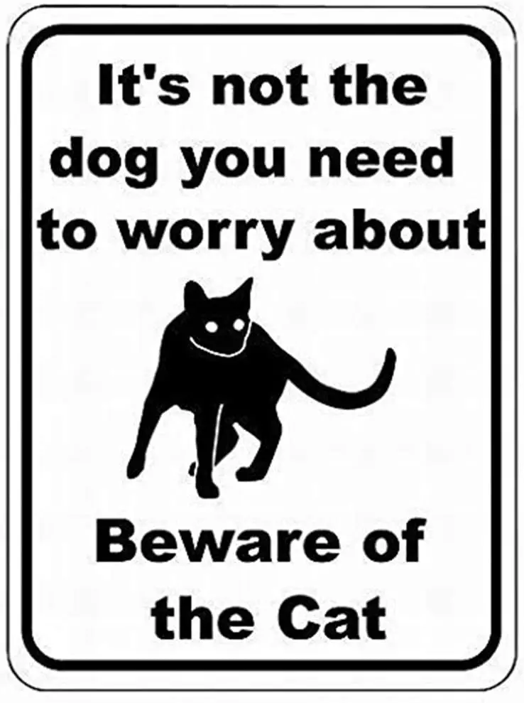 

It's Not The Dog You Need to Worry About Beware of The Cat Sign Metal Signs Funny Tin Sign Poster 8x12 Inch Vintage