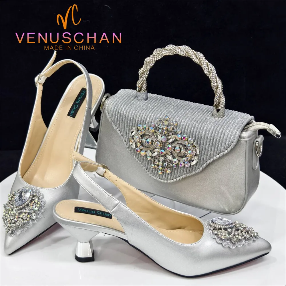 

Venus Chan 2024 Newest INS Style Silver Color Elegant High Heels Nigeria Popular Design African Ladies Shoes And Bag Set
