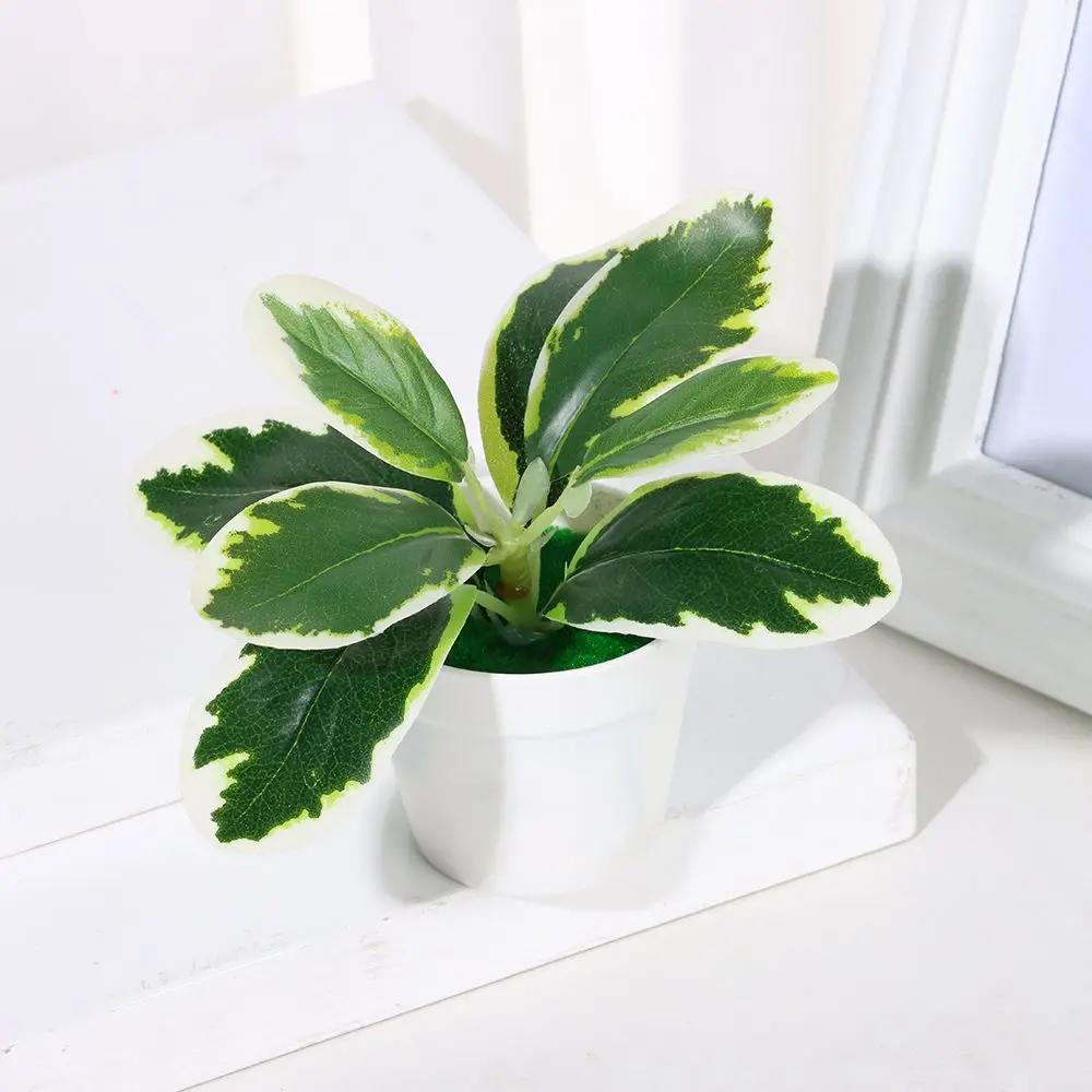 Simulated Green Plant Potted Artificial Flowers Lifelike Greenery Potted  Photography Props Party Supplies Scenery Model - AliExpress 15
