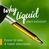 LEMON BALM GLYCERITE 1 OZ:01504 3