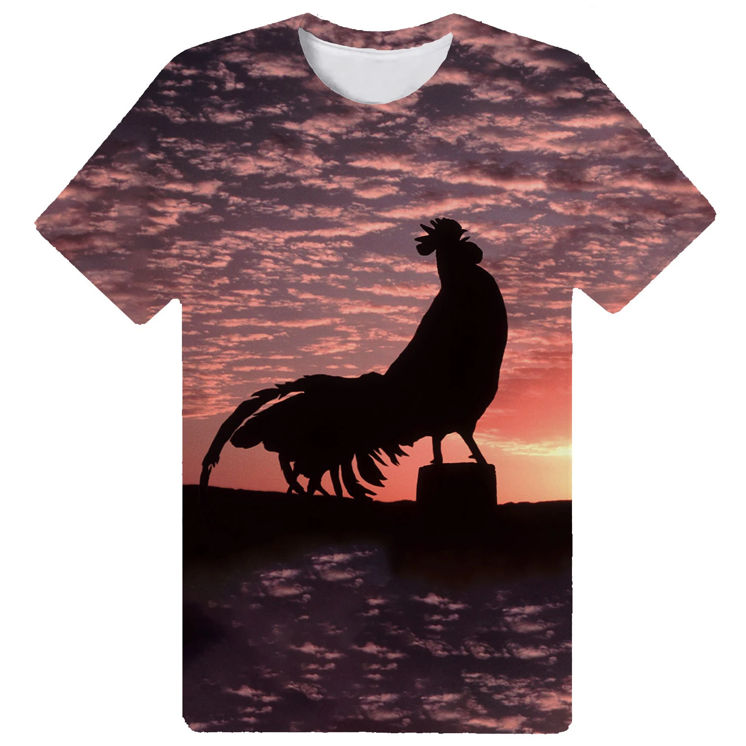 Summer Short Sleeve 3D Print T Shirts for Men and Women