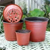 50/20pcs Plastic Flowerpots Simple Nursery Seedling Pot Flowers Seed Breeding Planters Container Box Garden Supplies Tool 1