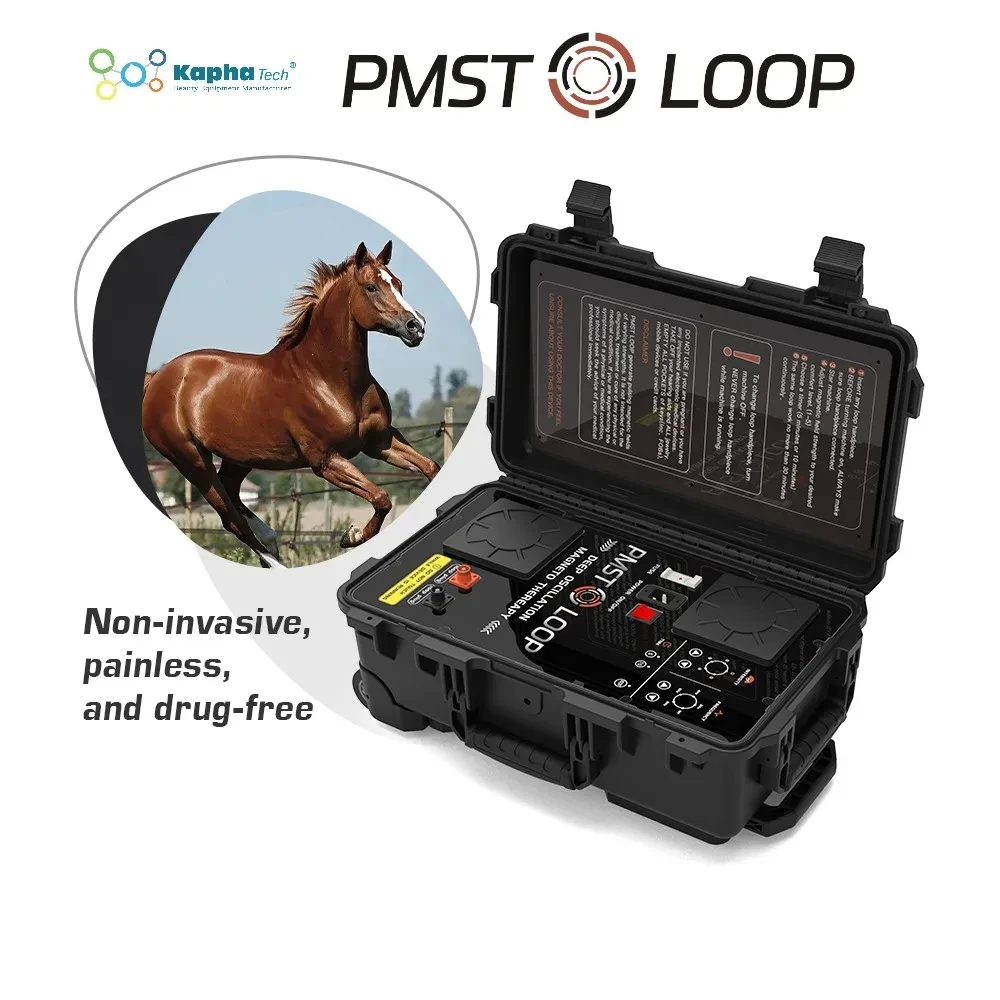 

Horses PEMF Pulse Electromagnetic Therapy PMST Machine with Single and Butterfly Loop for Animals Treatment