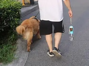 dog water bottle