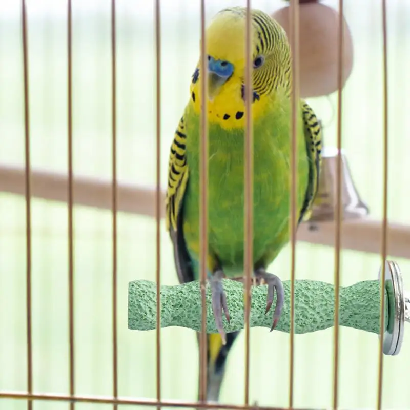 Bird Calcium Grinding Perch 4