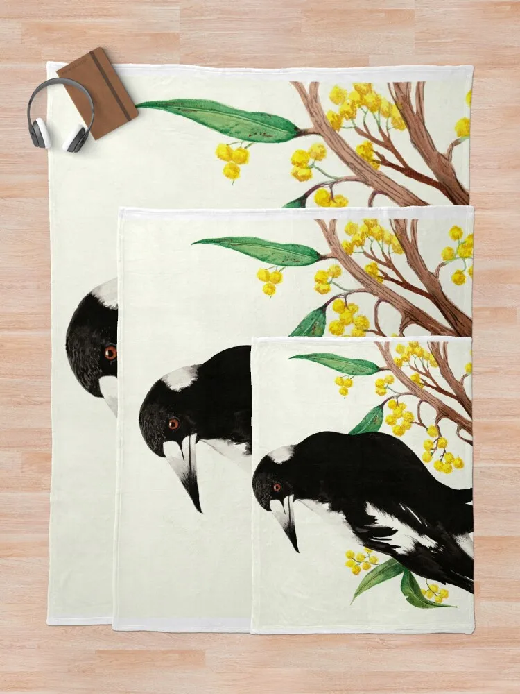 Magpie ������ ���, ���� ���, ���Ÿ� St ���, �ܿ� ħ�� ���