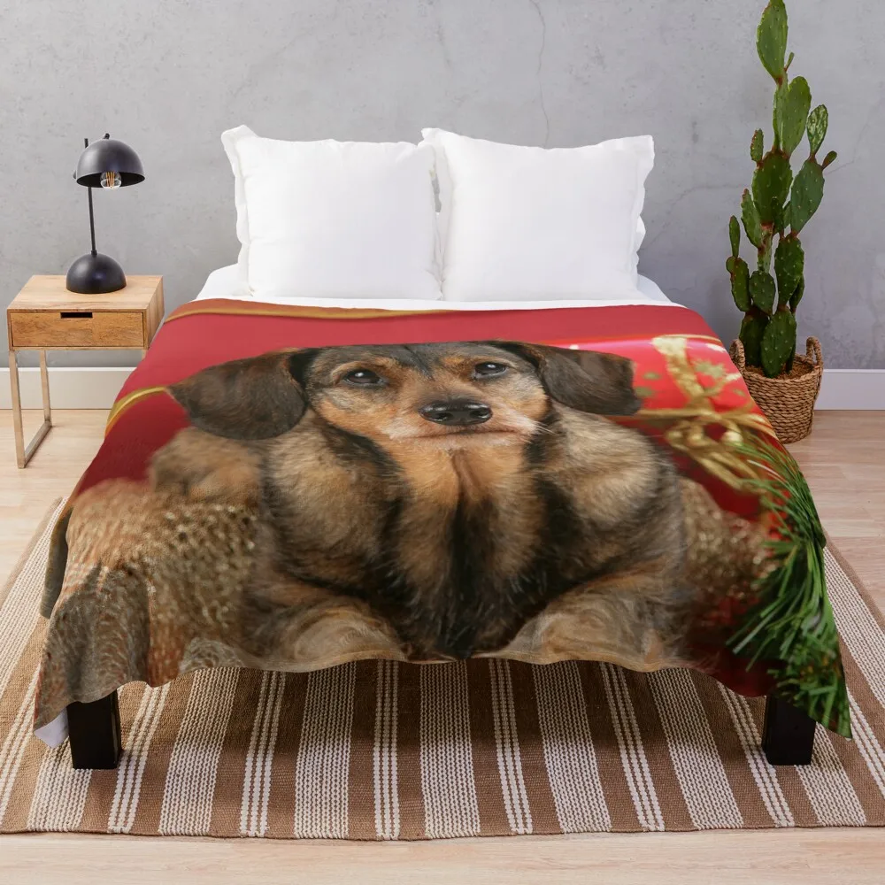 

Sweet wire-haired dachshund dog wishes Merry Christmas Throw Blanket Summer Decoratives halloween Fashion Sofas Blankets