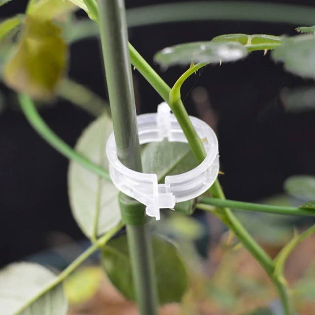 Műanyag Növényi Tartó Klipek Újrahasznosítható Kerti Zöldség Paradicsom Szőlő Függőleges Zsinegnövény Rögzített Oltó Rögzítőszerszámok - Image 3