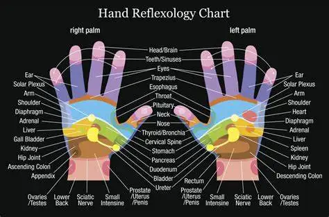 

Lot style Choose Reflexology Labeled Hand Chart Art print Silk poster Home Wall Decor