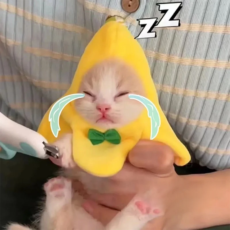 바나나 고양이 머리 커버, 창의적인 귀여운 고양이 반다나, 반려동물 머리 장식, 봉제 고양이 코스프레 의상, 바나나 머리 장식, 공연 사진 소품