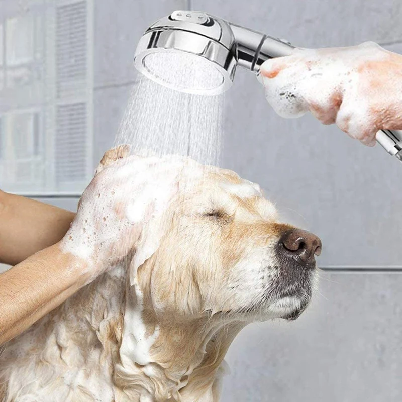 Slide image 09eee7e1578b4887b4f7b526e30bd15e