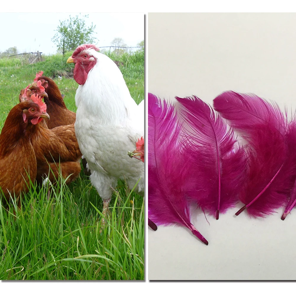 Hanging Circle Dream Catcher Crafts Ornaments Props Monocyclic Wall Decor Craft Round Shell Feather Bead Automobile Accessories