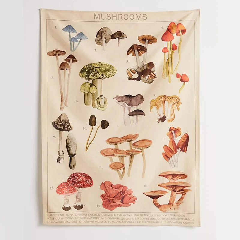 Quotes Mushroom Tapestry Wall Decor Mycology Mushroom Champignon Identification Chart Diagram Illustration Wall Art Boho Decor tapestry decorations