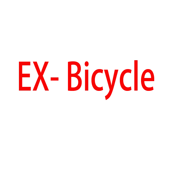 EX Bicycle Store Store