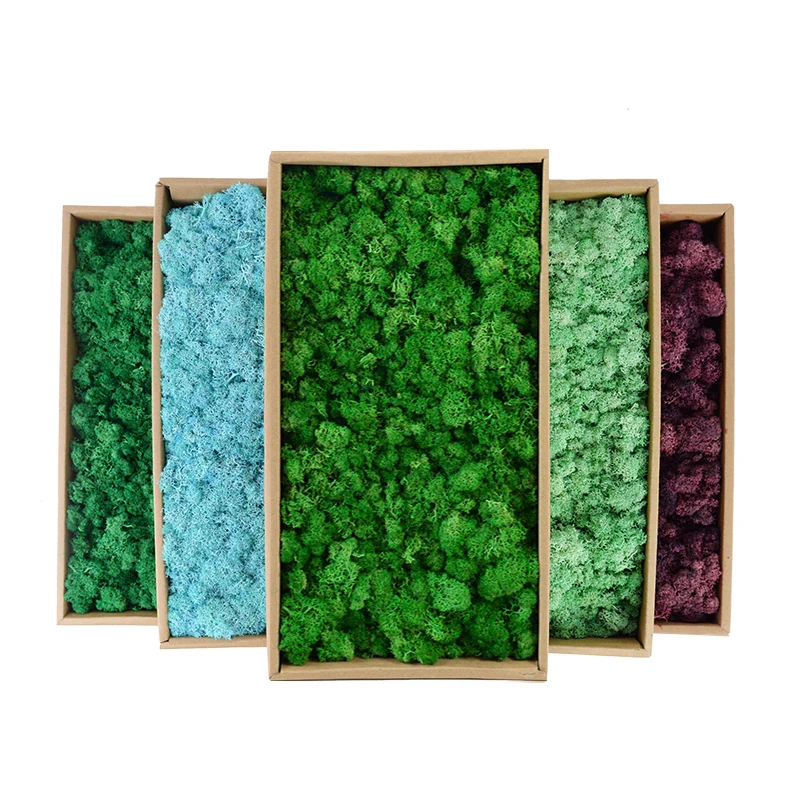 20/40/60g Eternal Life Moss Grass Artificial Green Plant for Home Garden Room Decoration DIY Crafts Mini Landscape Fake Flowers