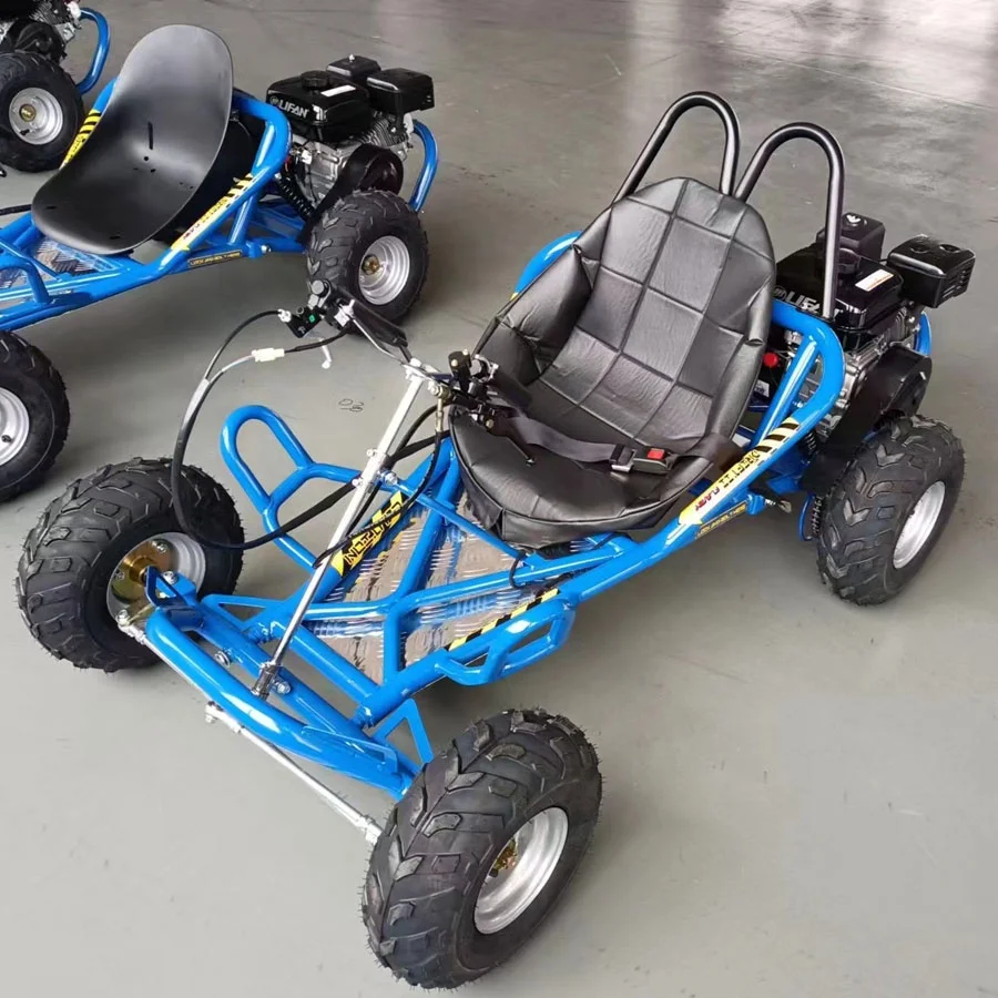 Favorable Price Outdoor Karts 196cc 45km/h Youngsters Mini Drifting Grassland Karting Buggy