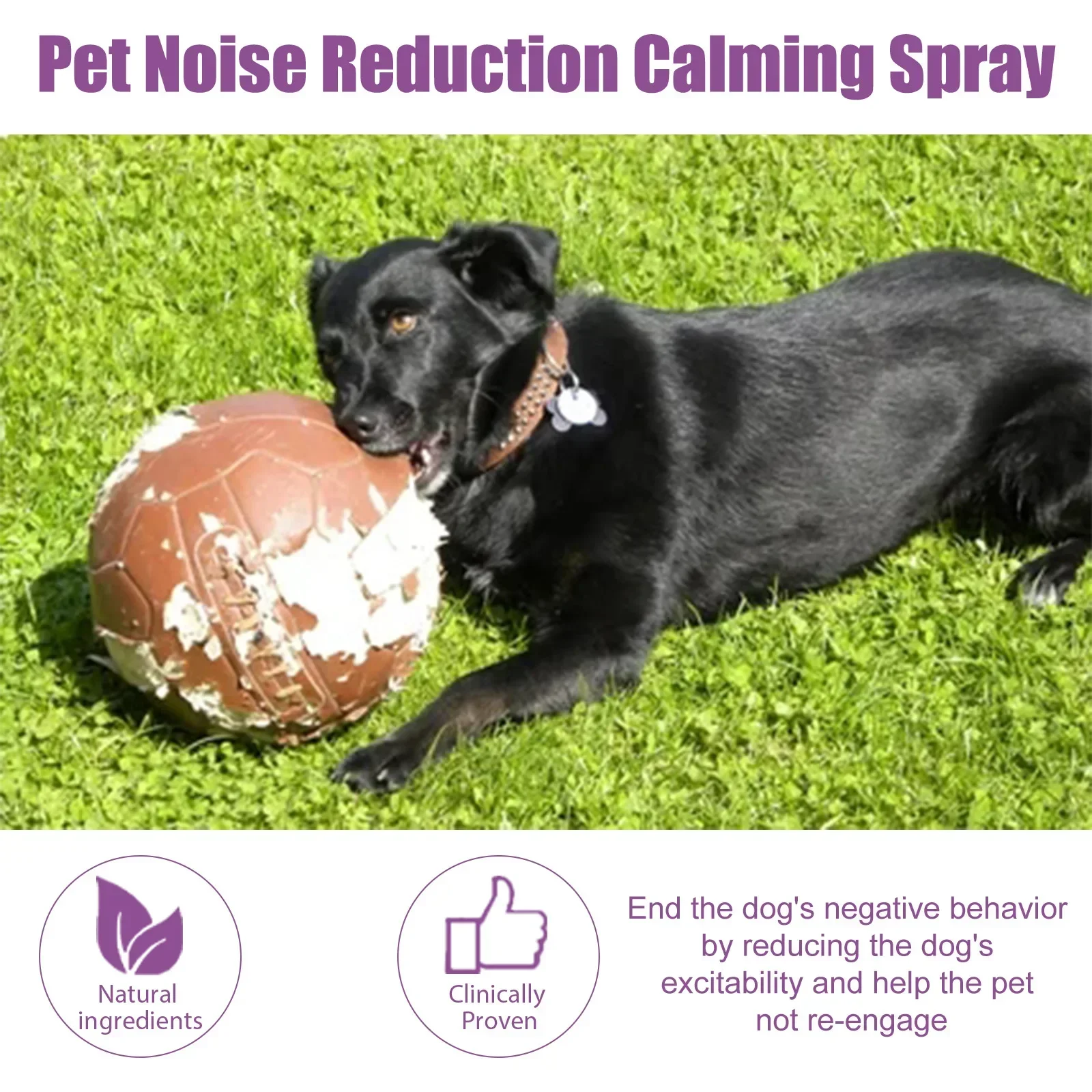 Calming Spray Cat Dogs Deterrents Stress Kitten Soothing Anti Training Calm Down Conditioning Pet Pheromone Collar Sprayer pet calming spray