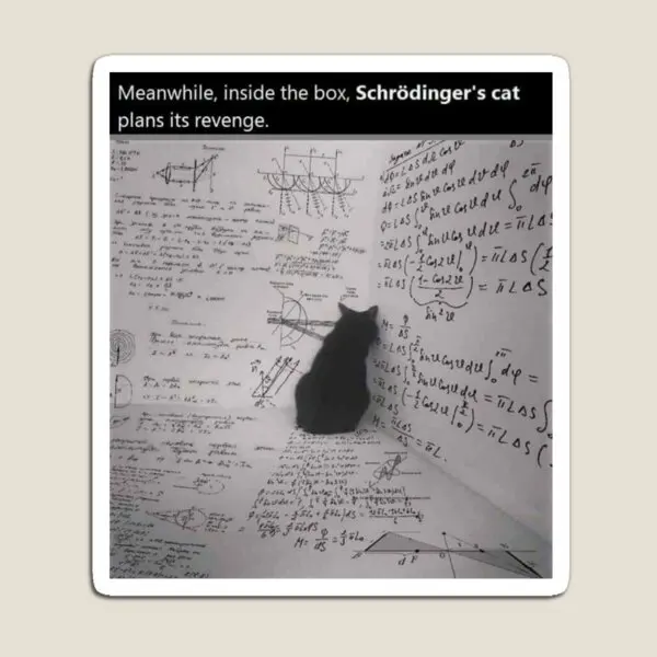 

Revenge Of Schrodinger Is Cat Magnet Home Children Stickers for Fridge Organizer Funny Decor Kids Cute Baby Toy Refrigerator