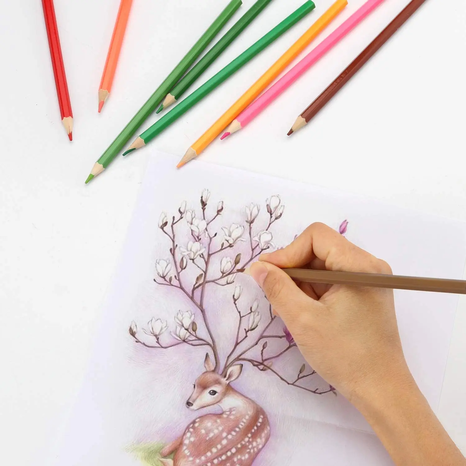 ���� �� ��̿� �÷� ���� ��Ʈ, 120 �� ���� ��Ʈ, ���� ���� �� ĵ���� ���� ���� ����