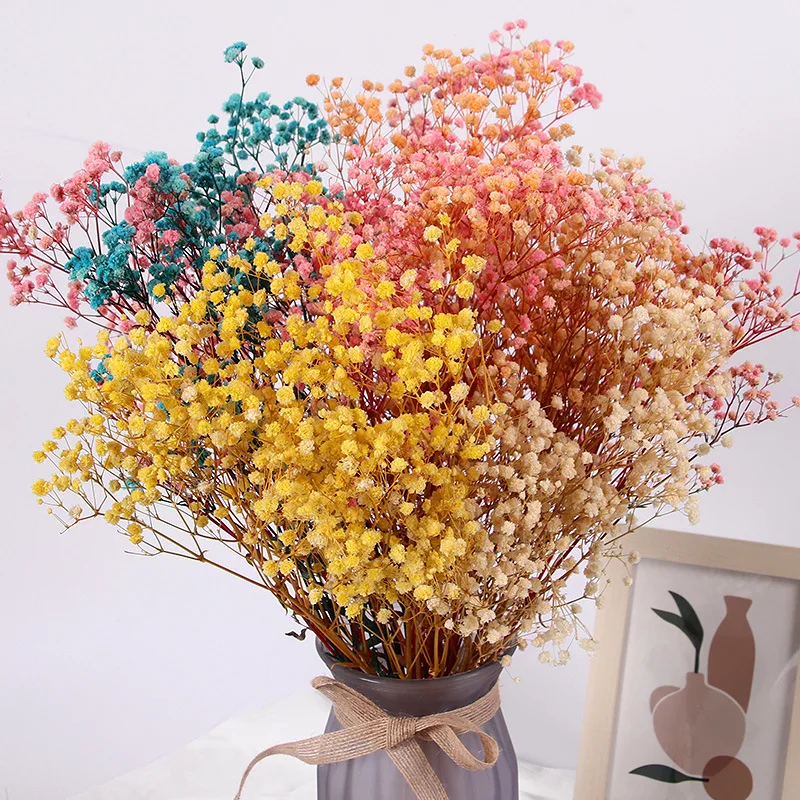 Flores secas de Gypsophila naturales y frescas, flores secas, Paniculata,  ramos de flores de respiración para bebé, regalo para decoración de boda,  decoración del hogar - AliExpress