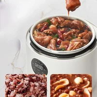 Electric Pressure Cooker Household Titanium Coating 5L Large Capacity Multifunctional Electric Pressure Cooker Rice Cookers 1