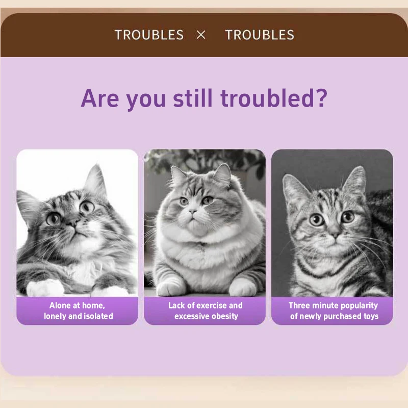 Rotating Interactive Cat Stick 4