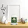 Moss Micro Landscape Bottle Display Cabinets Glasses Borosilicate Flower Pots 3