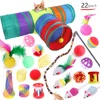 DualPet Kitten Toys Variety Cat Toy Combination Set Cat Toy Funny Cat Stick Sisal Mouse Bell Ball Cat Supplies 20 Piece Set 5