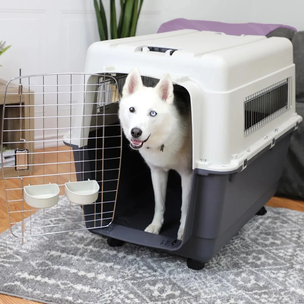 Plastic Pet Airline Approved Carrier 2