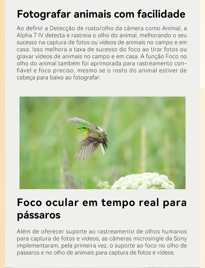 Sf1d58bcb6ff1462d98e4939e2f0be4ca0.jpg