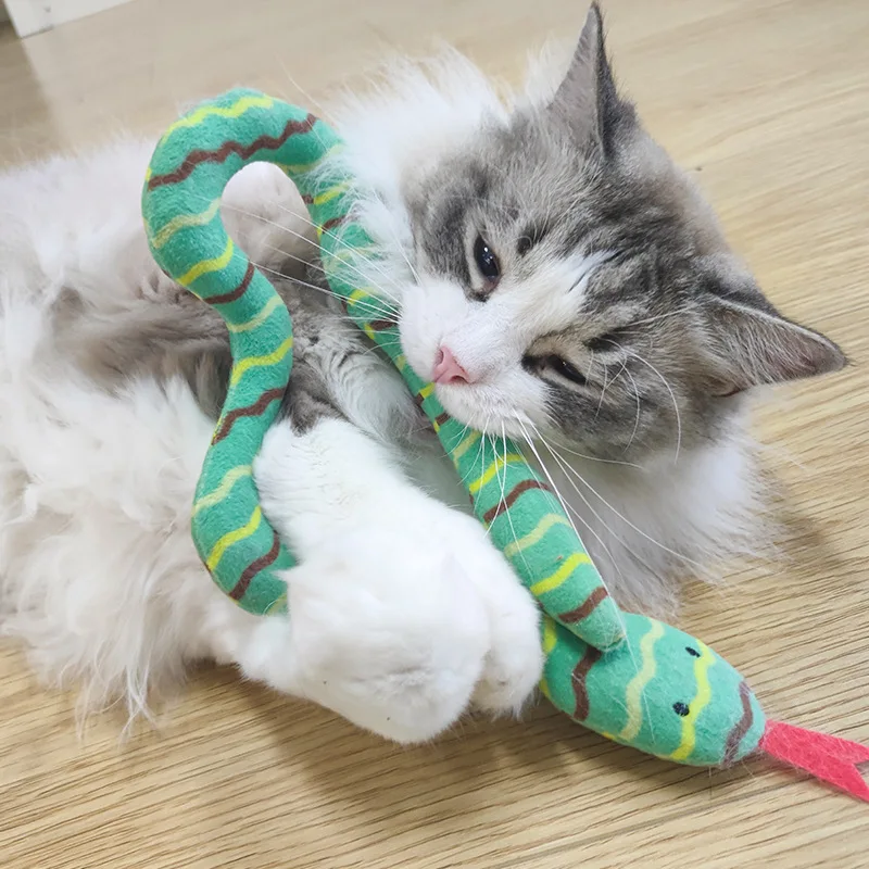 Giocattolo interattivo per gatti Catnip peluche avido serpente resistente  ai morsi gioco interattivo per animali domestici - AliExpress