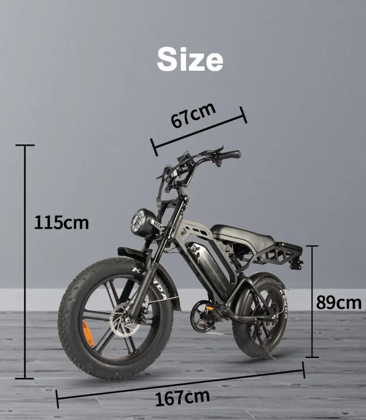 Stylish Electric Bike