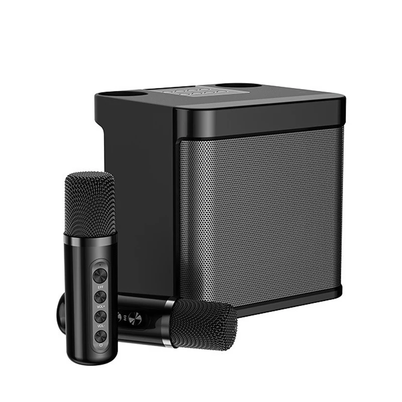 PortableKaraokeBluetoothSpeakersAndDualMicrophone20WHighPower