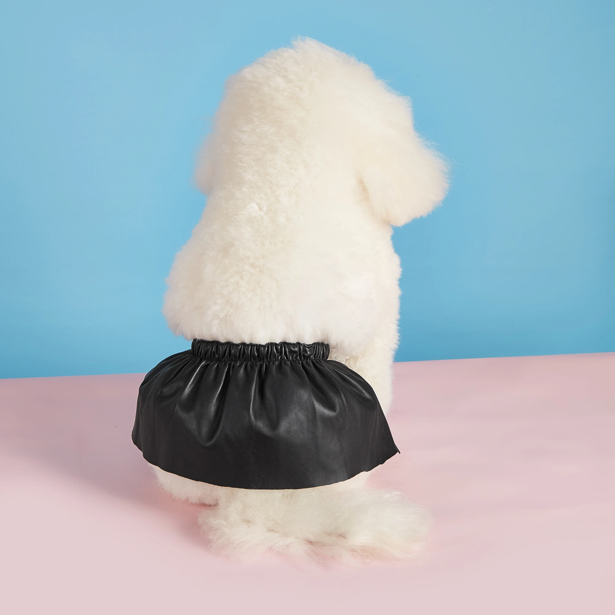 1 Dollar Limited Time Sale Pet Multi-Color Leather Skirt Small Medium Dog Wear Cute Pet Clothing