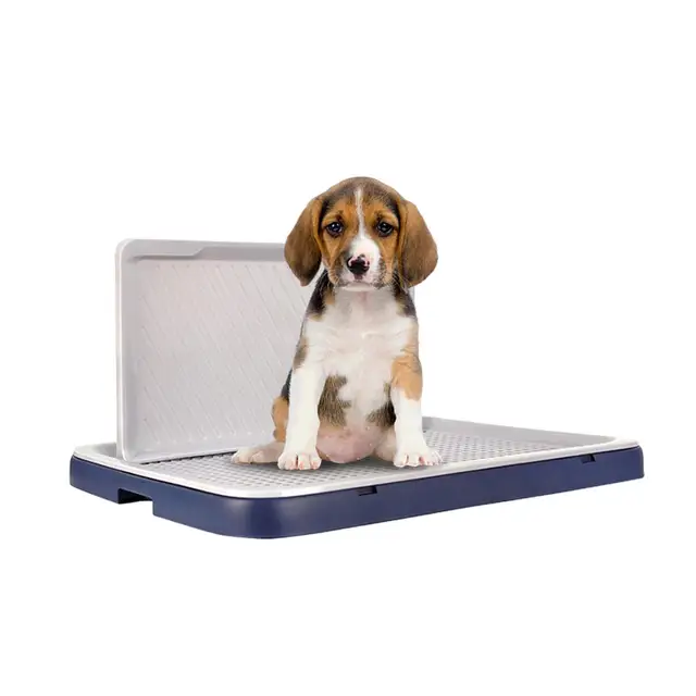 Vasino Per Cani 42x42cm - Lettiera Antispruzzo Con Griglia Rimovibile Per Addestramento - Foto 4