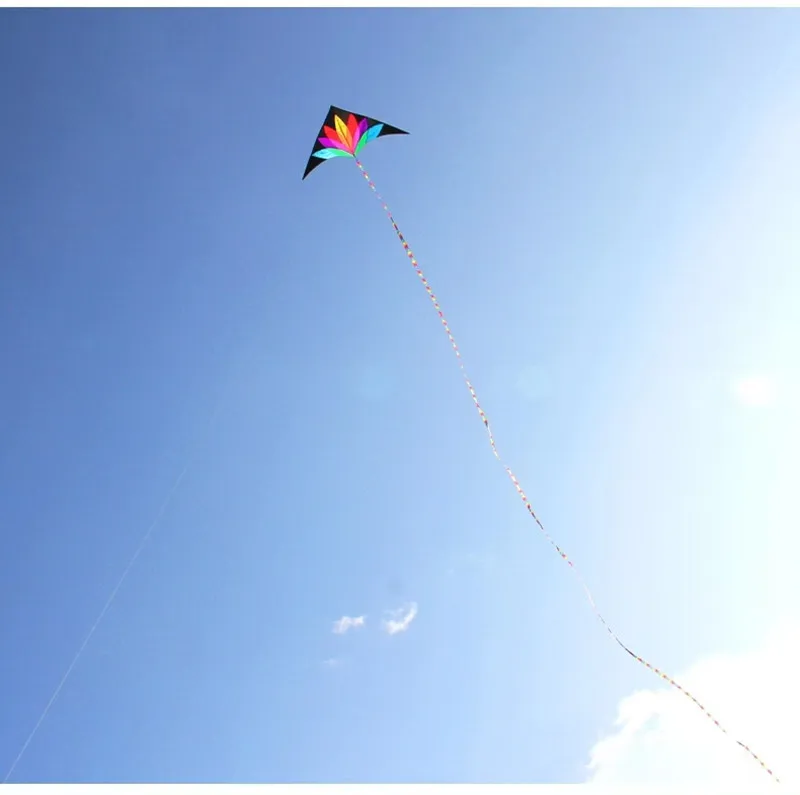 free shipping 2m large delta kite flying toys kites for adults Seven-coloured flowers kite surfing outdoor games inflatable toys 6
