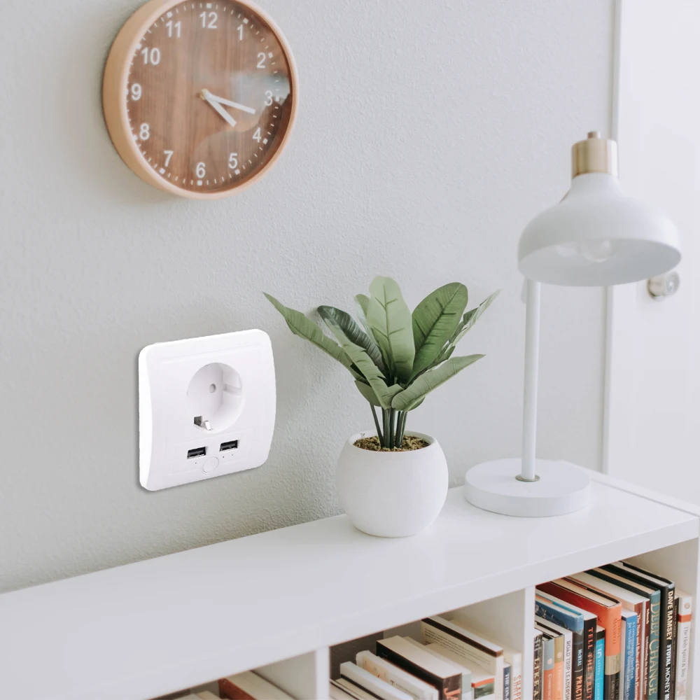 Tuya Wall EU 소켓 Zigbee 3.0/Wifi 2 USB 충전 포트 독립 제어 타이머 스위치 Alexa Google 홈으로 프로그래밍 가능