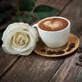 Angle cafe Store