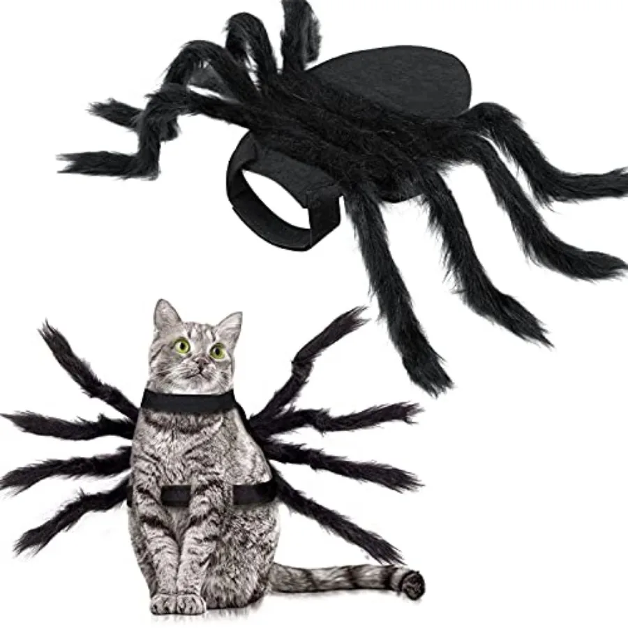 Halloween Spider Pet Costume 1