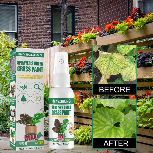 Növényi Tápanyagoldat Gyorsan Csereprés Virágzöld Levelek Zöldségek Termesztése Műtrágya Növény Étel Zöld Fű Spray 30 Ml