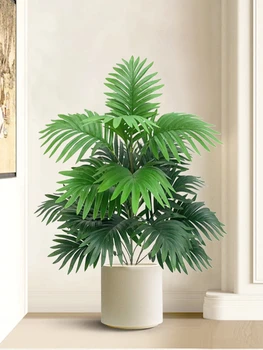 Mini Potted Eucalyptus Plant 1