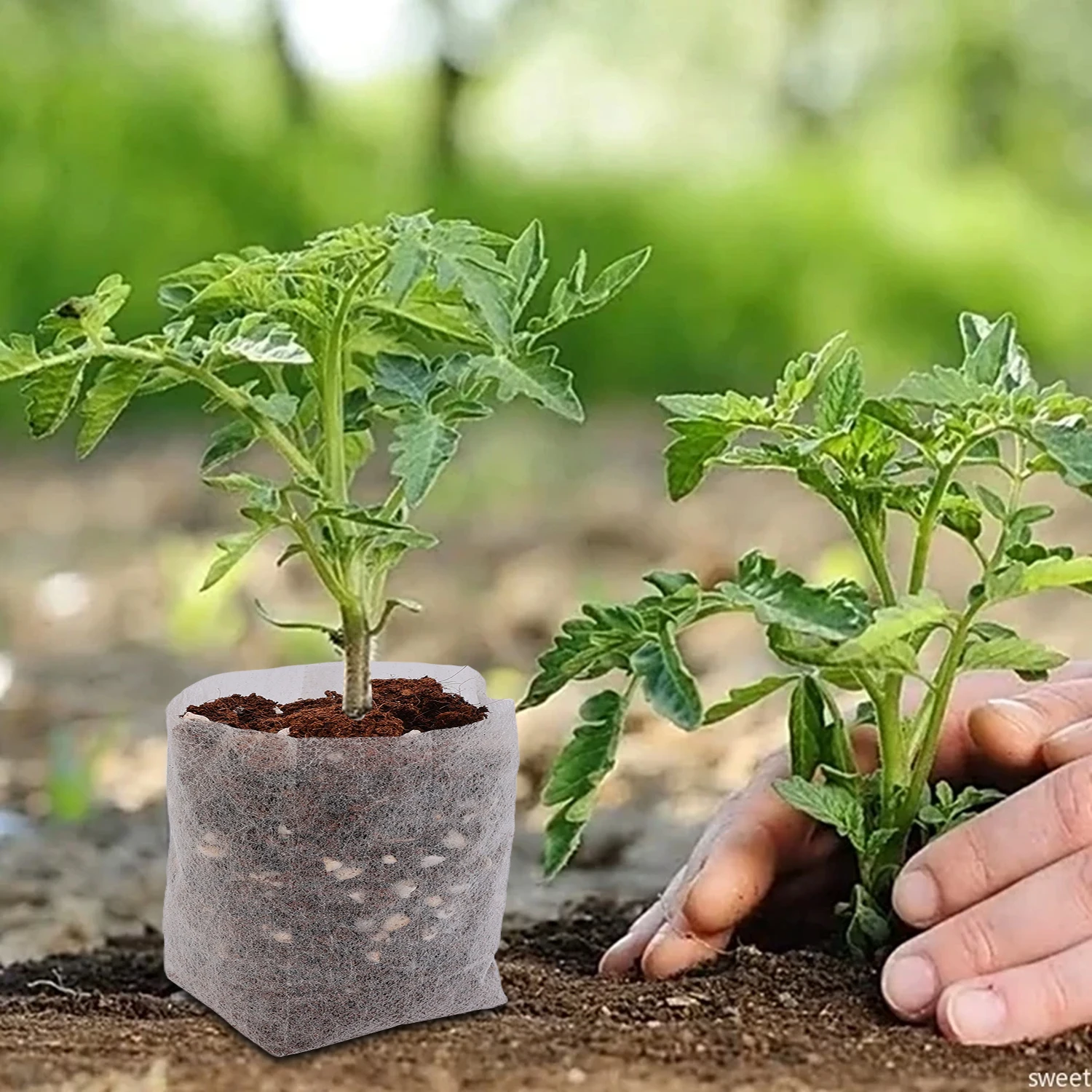 Wholesale Biodegradable Nursery Bag Plant Grow Bags Non-woven Fabric Seeds To Sow Flower Pots for Home Gardening Accessories 2