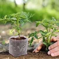 Wholesale Biodegradable Nursery Bag Plant Grow Bags Non-woven Fabric Seeds To Sow Flower Pots for Home Gardening Accessories 2