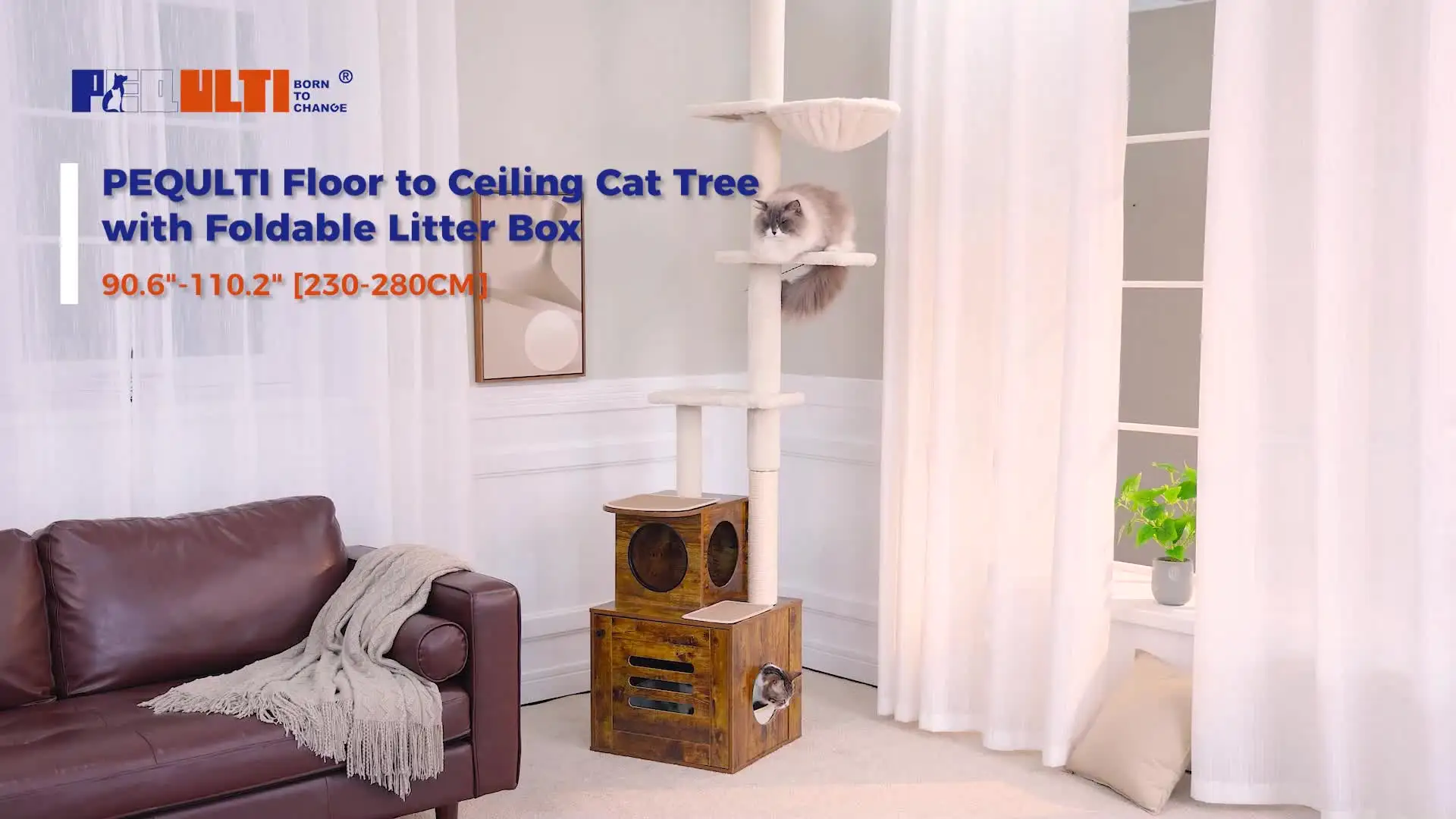Tiragraffi Alto Per Gatti Da Parete — 210 Cm, 5 Livelli, Con Piattaforme In Sisal, Per Arrampicata E Gioco